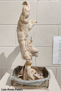 Sculpture - Bonsai